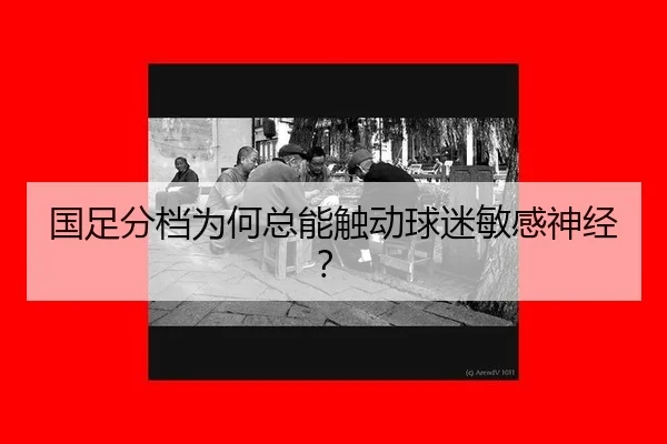 国足分档为何总能触动球迷敏感神经？